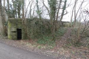 Ligne Maginot - DALHUNDEN OUEST - (Abri) - Vue générale de l'abri