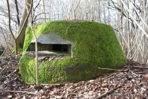 Ligne Maginot - RAMELSHAUSEN 1 (Blockhaus pour arme infanterie) - Vue générale