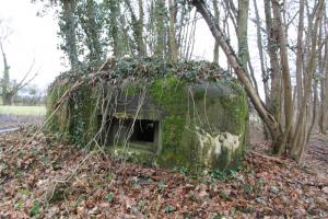Ligne Maginot - LILIENFELD NORD - (Blockhaus pour arme infanterie) - 
