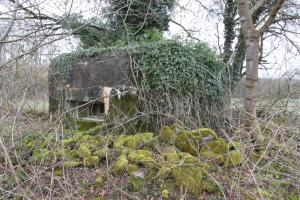 Ligne Maginot - BANGWOG Centre (Blockhaus pour arme infanterie) - 