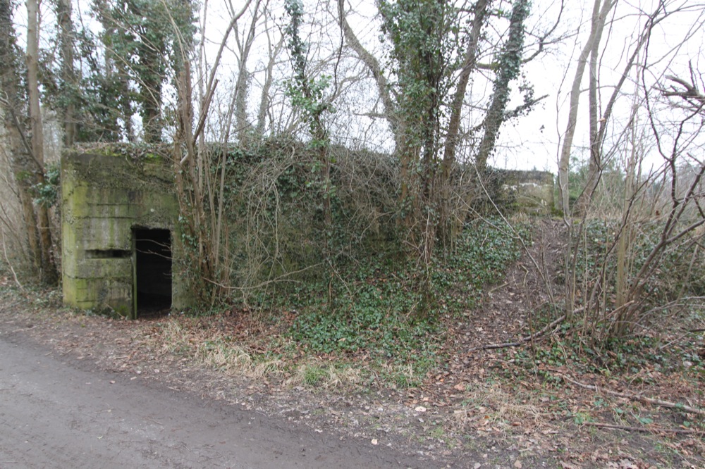 Ligne Maginot - DALHUNDEN OUEST - (Abri) - Vue générale de l'abri - Les Gardiens du Rhin