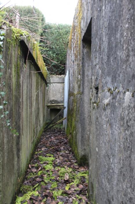 Ligne Maginot - DALHUNDEN EST - (PC de Sous-Quartier) - La tranchée d'accès au blockhaus - Les Gardiens du Rhin