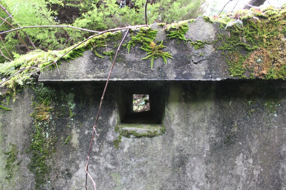 Ligne Maginot - DALHUNDEN EST - (PC de Sous-Quartier) - Un des créneau de la tranchée de desserte de l'accès - Les Gardiens du Rhin