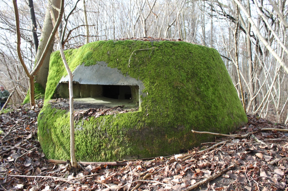 Ligne Maginot - RAMELSHAUSEN 1 (Blockhaus pour arme infanterie) - Vue générale