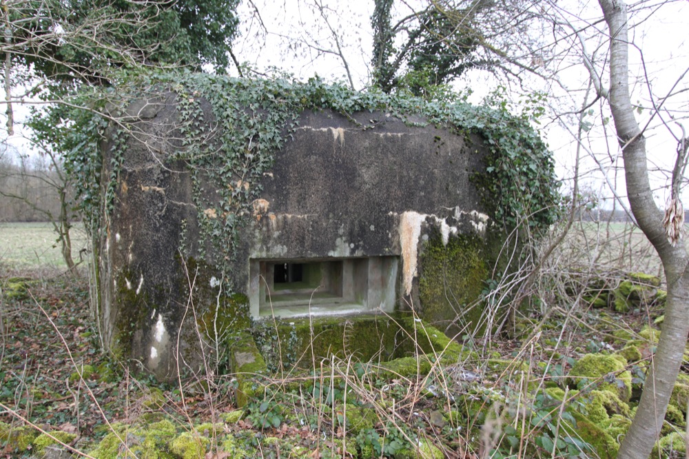 Ligne Maginot - BANGWOG Centre (Blockhaus pour arme infanterie) -  - Les Gardiens du Rhin