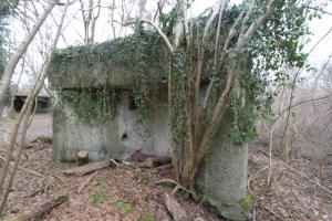 Ligne Maginot - ROSSMOERDER NORD EST - (Blockhaus pour arme infanterie) - 