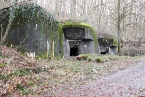 Ligne Maginot - 113 - OLTINGUE - (Casemate d'artillerie) - Vue générale de la casemate