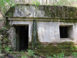 Ligne Maginot - MONTBRONN ( KUSTERWALD ) - (PC) - 