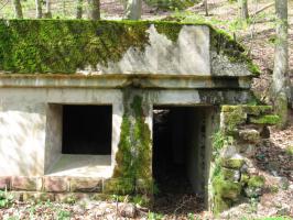 Ligne Maginot - MONTBRONN ( KUSTERWALD ) - (PC) - 