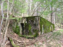 Ligne Maginot - MONTBRONN ( FROMBURGERWALD ) - (PC) - Vue d'ensemble