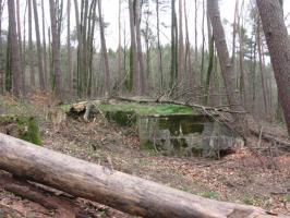 Ligne Maginot - GROSSLING (II° 59° RAMF) - (PC de Quartier) - Vue générale