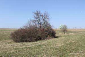 Ligne Maginot - NEUWIESE 2 - (Blockhaus pour canon) - Vue générale