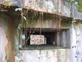 Ligne Maginot - HOLZSCHLAG 3 - (Blockhaus pour canon) - Créneau pour canon