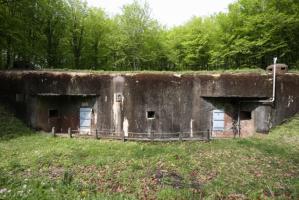 Ligne Maginot - BOIS DE CATTENOM - X14 - (Abri) - Vue générale