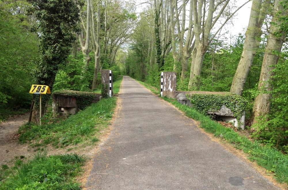 Ligne Maginot - HAUTE DIGUE 5 - (Blockhaus pour arme infanterie) -  - Pascal LAMBERT