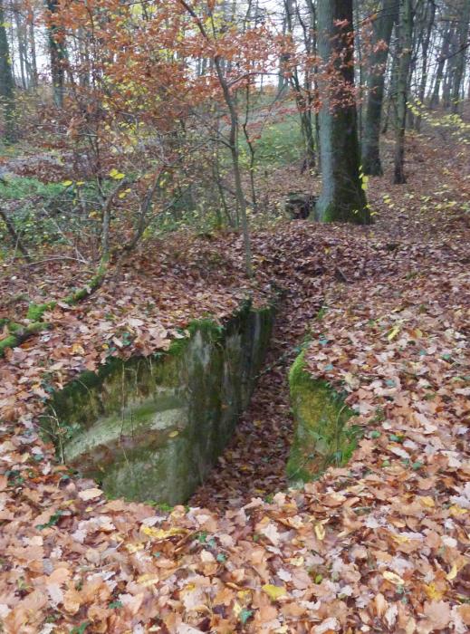 Ligne Maginot - Ct48 (Cuve pour arme d'infanterie) -  - Pascal LAMBERT