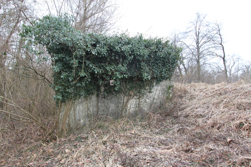 Ligne Maginot - KLEMLISWOERTH (Blockhaus pour arme infanterie) -  - Les Gardiens du Rhin