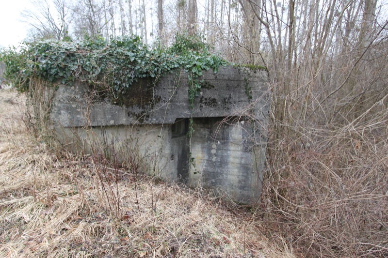 Ligne Maginot - KLEMLISWOERTH (Blockhaus pour arme infanterie) -  - Les Gardiens du Rhin