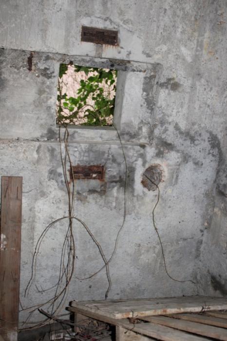 Ligne Maginot - KLEMLISWOERTH (Blockhaus pour arme infanterie) -  - Les Gardiens du Rhin