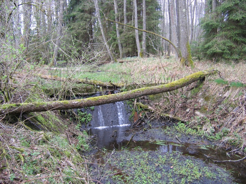 Ligne Maginot - WOLFSREDGEN ( FOSSE ANTICHARS ) - Seul encore intact