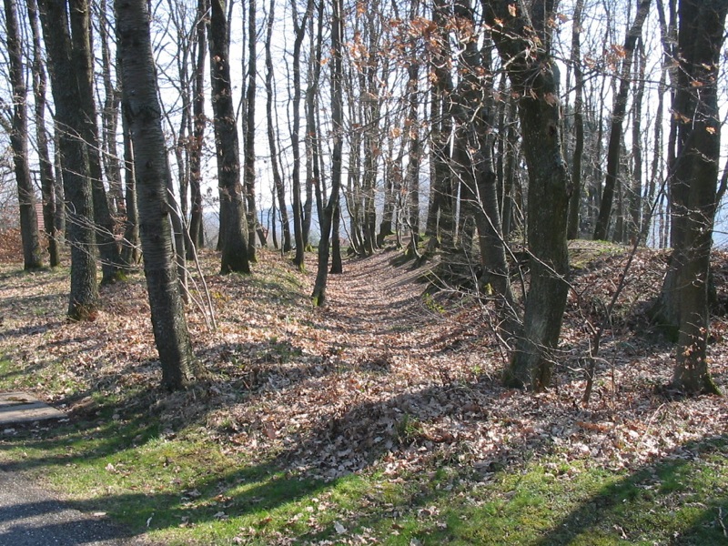 Ligne Maginot - CLIMBACH 1 - (Blockhaus pour arme infanterie) - Vue de la redoute du 18ème siècle voisine du blockhaus - Antoine SCHOEN