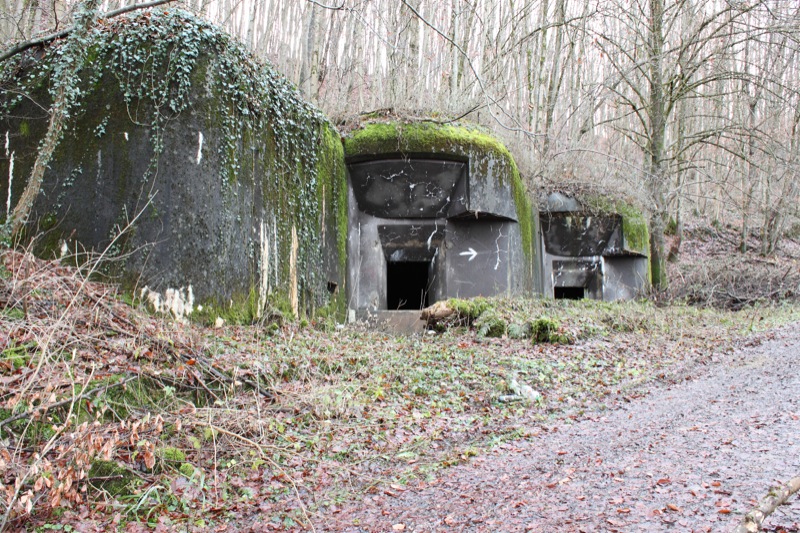 Ligne Maginot - 113 - OLTINGUE - (Casemate d'artillerie) - Vue générale de la casemate
