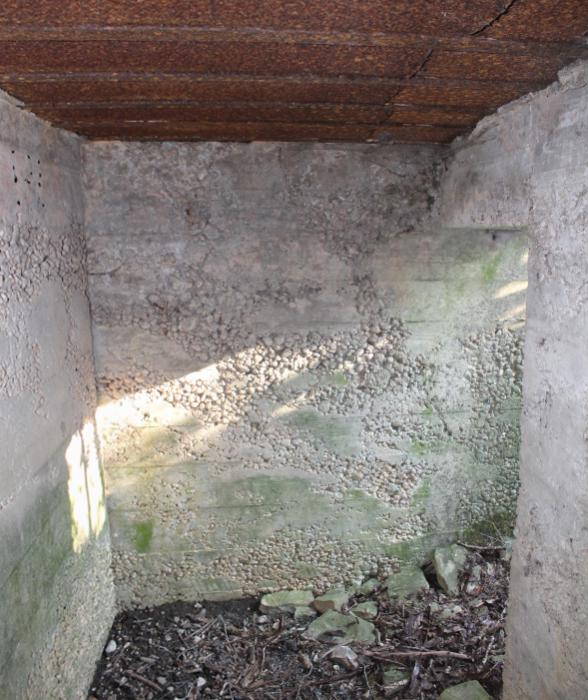 Ligne Maginot - KALKOFEN 10 - (Observatoire d'infanterie) - L'entrée - Christian LENHARD