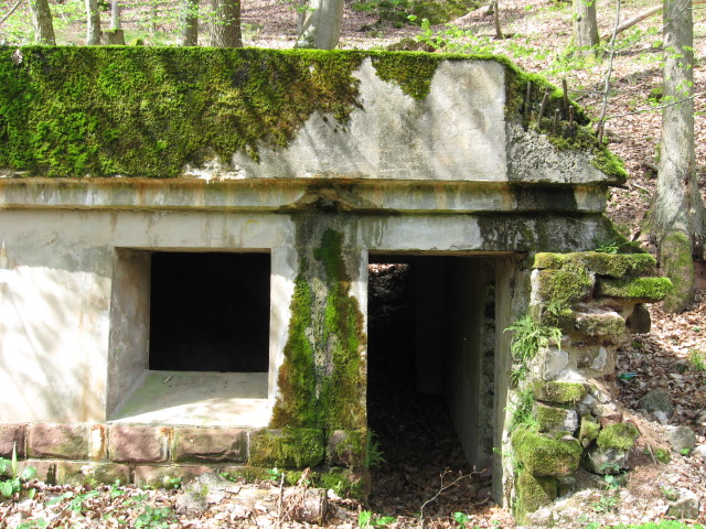 Ligne Maginot - MONTBRONN ( KUSTERWALD ) - (PC) -  - Christian LENHARD