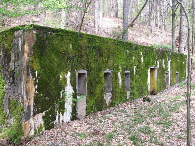 Ligne Maginot - MONTBRONN ( FROMBURGERWALD ) - (PC) - Façade avant