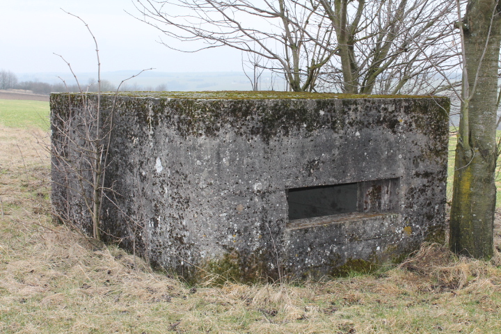 Ligne Maginot - HILLEN OUEST - (Blockhaus pour arme infanterie) - Façade de tir - Christian LENHARD