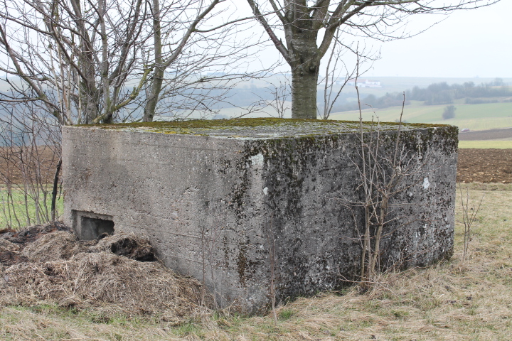 Ligne Maginot - HILLEN OUEST - (Blockhaus pour arme infanterie) - L'entrée