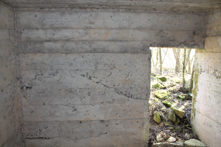 Ligne Maginot - STEINER DEL 2 - (Blockhaus pour arme infanterie) - L'entrée - Christian LENHARD