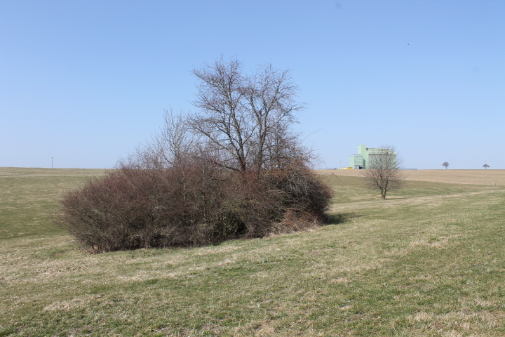 Ligne Maginot - NEUWIESE 2 - (Blockhaus pour canon) - Vue générale