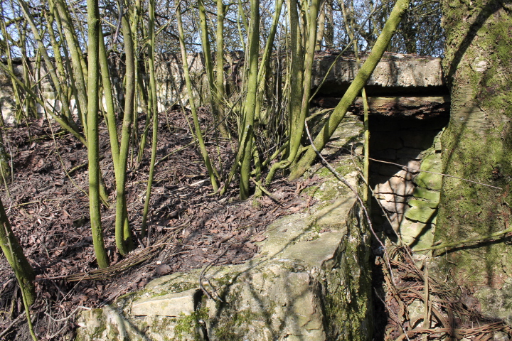 Ligne Maginot - NEUWIESE 2 - (Blockhaus pour canon) - L'accès - Christian LENHARD