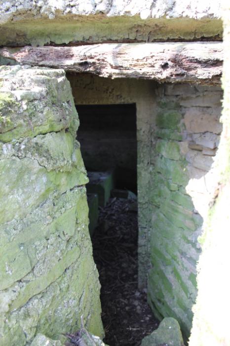 Ligne Maginot - NEUWIESE 2 - (Blockhaus pour canon) - L'entrée