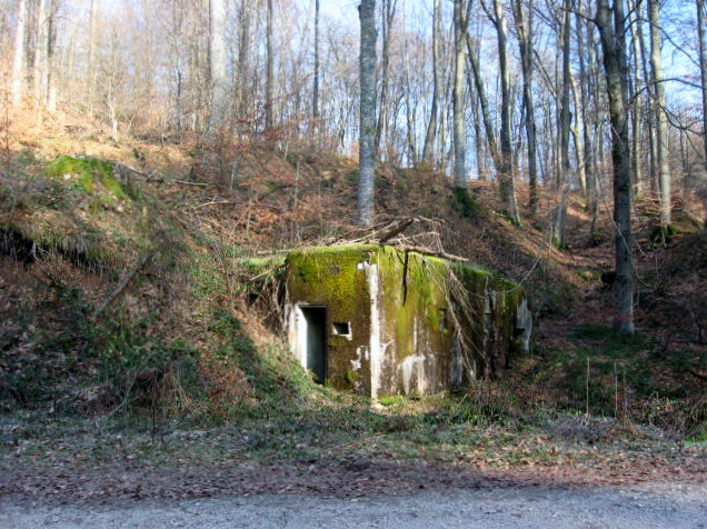 Ligne Maginot - HERRENWALD - ( III - 153° RIF ) - (PC de Quartier) - Vue générale