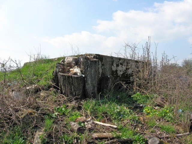 Ligne Maginot - LUXENMUEHLE OUEST - (Blockhaus pour arme infanterie) - Vue générale - Christian LENHARD