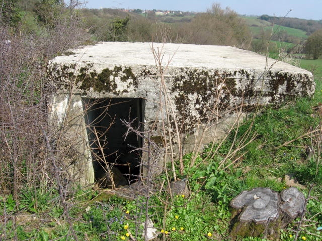 Ligne Maginot - LUXENMUEHLE OUEST - (Blockhaus pour arme infanterie) - L'entrée - Christian LENHARD