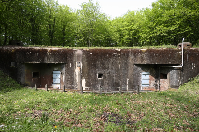 Ligne Maginot - BOIS DE CATTENOM - X14 - (Abri) - Vue générale