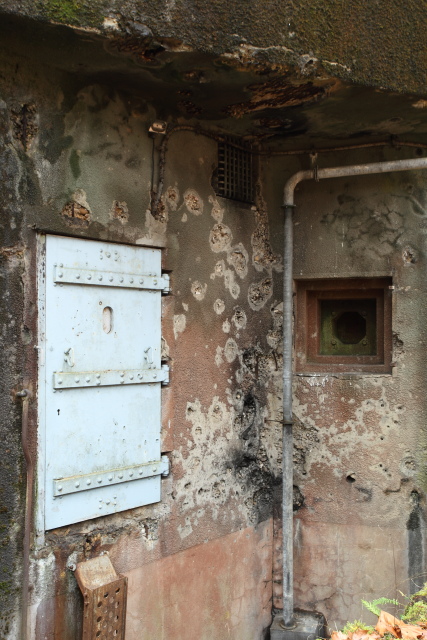Ligne Maginot - BOIS DE CATTENOM - X14 - (Abri) - 