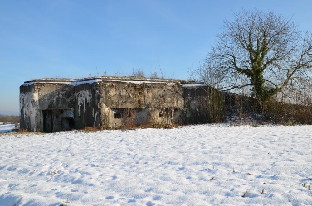 Ligne Maginot - 85 - HASELBERG - (Casemate d'infanterie - double) - Vue générale coté ouest