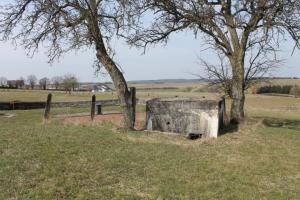 Ligne Maginot - SINGLING 3 - (Blockhaus pour arme infanterie) - Façade arriere