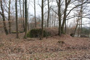 Ligne Maginot - SCHLOSSWALD 1 - (Blockhaus pour arme infanterie) - Vue générale