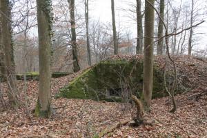 Ligne Maginot - SCHLOSSWALD 1 - (Blockhaus pour arme infanterie) - Façade de tir FM