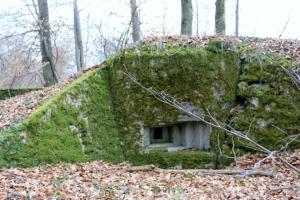 Ligne Maginot - SCHLOSSWALD 1 - (Blockhaus pour arme infanterie) - Créneau FM