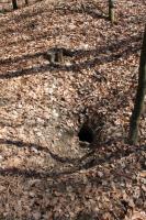 Ligne Maginot - L'endroit sert de PC à une famille de blaireaux - L'endroit sert de PC à une famille de blaireaux