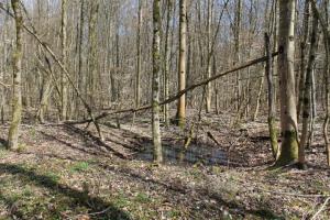 Ligne Maginot - Les alentours - Cagna