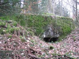 Ligne Maginot - SCHWANGERBACH 1 - (Blockhaus pour canon) - 