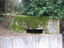 Ligne Maginot - SCHWANGERBACH 6 - (Blockhaus pour canon) - Façade de tir
