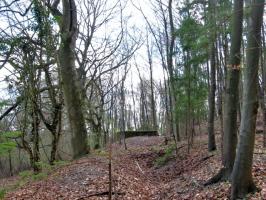 Ligne Maginot - MEISTERBUSCH 3 - (Observatoire d'infanterie) - 